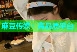 麻豆传媒：高品质平台