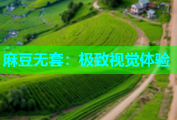 麻豆无套：极致视觉体验
