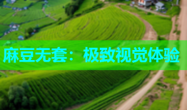 麻豆无套：极致视觉体验