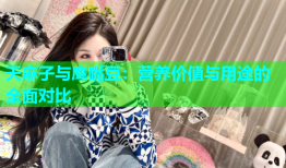 天麻子与鹰嘴豆：营养价值与用途的全面对比