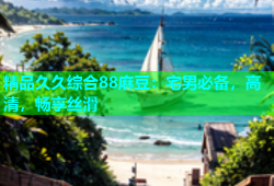 精品久久综合88麻豆：宅男必备，高清，畅享丝滑