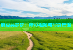 麻豆吴梦梦：精彩视频与写真集锦