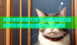 探索未知的魅力世界 感受麻豆精品视频带来的视觉盛宴与心灵震撼