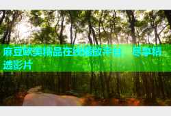 麻豆欧美精品在线播放平台，尽享精选影片