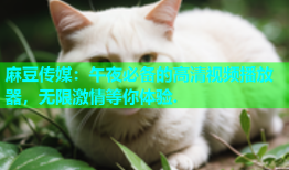 麻豆传媒：午夜必备的高清视频播放器，无限激情等你体验.