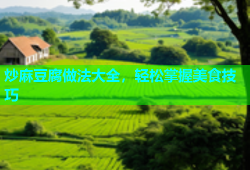 炒麻豆腐做法大全，轻松掌握美食技巧