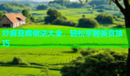 炒麻豆腐做法大全，轻松掌握美食技巧