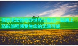 探索未知的奇妙世界让我们一起踏上精彩旅程感受生命的无限可能