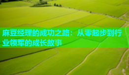 麻豆经理的成功之路：从零起步到行业领军的成长故事