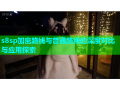 s8sp加密路线与普通路线的深度对比与应用探索