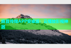 麻豆传媒APP安卓版：云播放影视神器