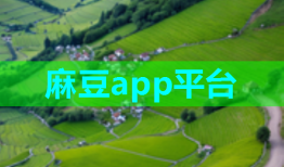 麻豆app平台