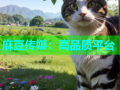 麻豆传媒：高品质平台