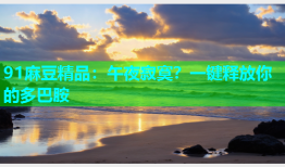 91麻豆精品：午夜寂寞？一键释放你的多巴胺