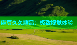 麻豆久久精品：极致视觉体验