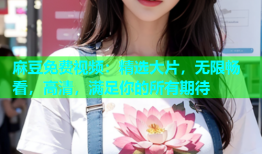 麻豆免费视频：精选大片，无限畅看，高清，满足你的所有期待