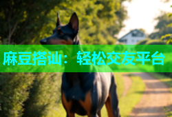 麻豆搭讪：轻松交友平台