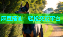麻豆搭讪：轻松交友平台