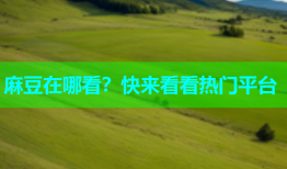 麻豆在哪看？快来看看热门平台