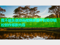 我不能失信动画视频麻豆平台助你轻松创作爆款内容
