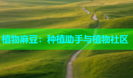 植物麻豆：种植助手与植物社区