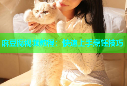 麻豆腐视频教程：快速上手烹饪技巧