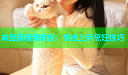 麻豆腐视频教程：快速上手烹饪技巧