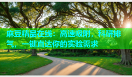 麻豆精品在线：高速吸附，科研排气，一键直达你的实验需求
