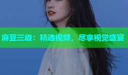 麻豆三级：精选视频，尽享视觉盛宴