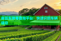 麻豆车牌号查询平台：快速识别车辆信息