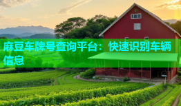 麻豆车牌号查询平台：快速识别车辆信息