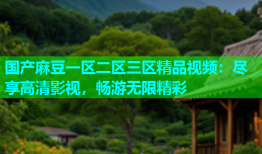 国产麻豆一区二区三区精品视频：尽享高清影视，畅游无限精彩