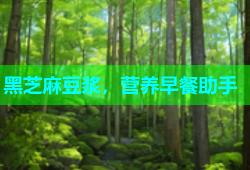 黑芝麻豆浆，营养早餐助手