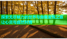 探索无尽魅力的世界与自我发现之旅 让心灵与自然共舞