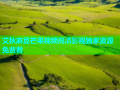 艾秋麻豆芒果视频高清影视独家资源免费看