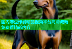 国内麻豆作爱精品视频平台高清流畅免费看精彩内容