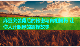 麻豆突袭背后的秘密与真相揭秘 让你大开眼界的震撼故事
