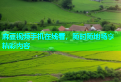 麻豆视频手机在线看，随时随地畅享精彩内容