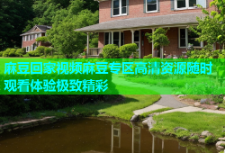 麻豆回家视频麻豆专区高清资源随时观看体验极致精彩