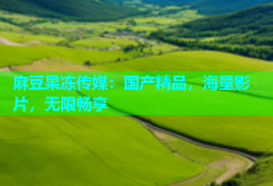 麻豆果冻传媒：国产精品，海量影片，无限畅享