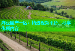 麻豆国产一区：精选视频平台，尽享优质内容