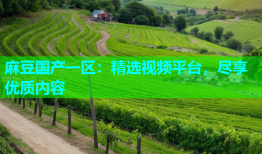 麻豆国产一区：精选视频平台，尽享优质内容