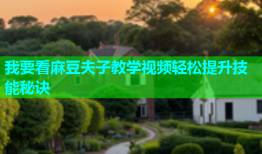 我要看麻豆夫子教学视频轻松提升技能秘诀