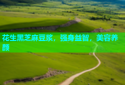 花生黑芝麻豆浆，强身益智，美容养颜
