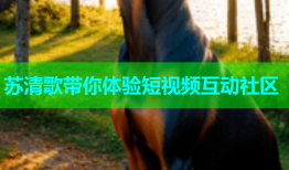 苏清歌带你体验短视频互动社区