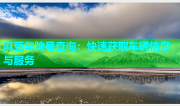麻豆车牌号查询：快速获取车辆信息与服务