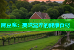麻豆腐：美味营养的健康食材