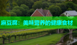 麻豆腐：美味营养的健康食材
