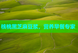 核桃黑芝麻豆浆，营养早餐专家