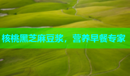 核桃黑芝麻豆浆，营养早餐专家
